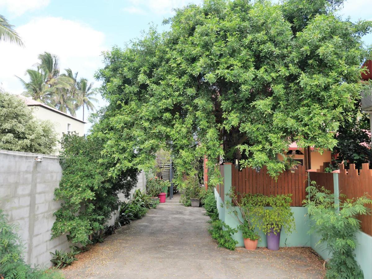 La Kazette - Votre Studio De Vacances A L Ile De La Reunion 圣路易斯 外观 照片